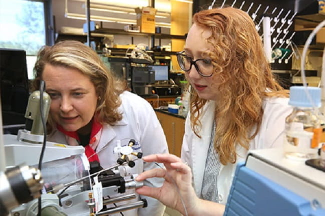 Researchers collaborating over machinery