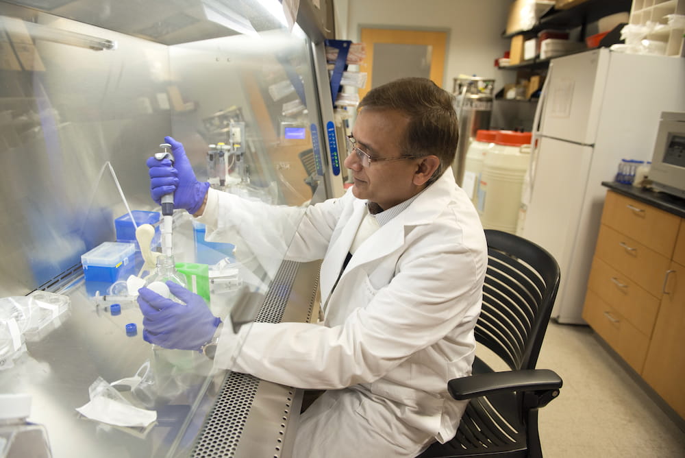 Dr. Deepak Nihalani in the laboratory. Photo by Sarah Pack.