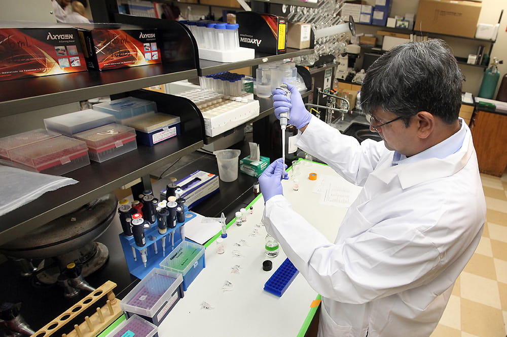 Dr. Anand Mehta in his laboratory.