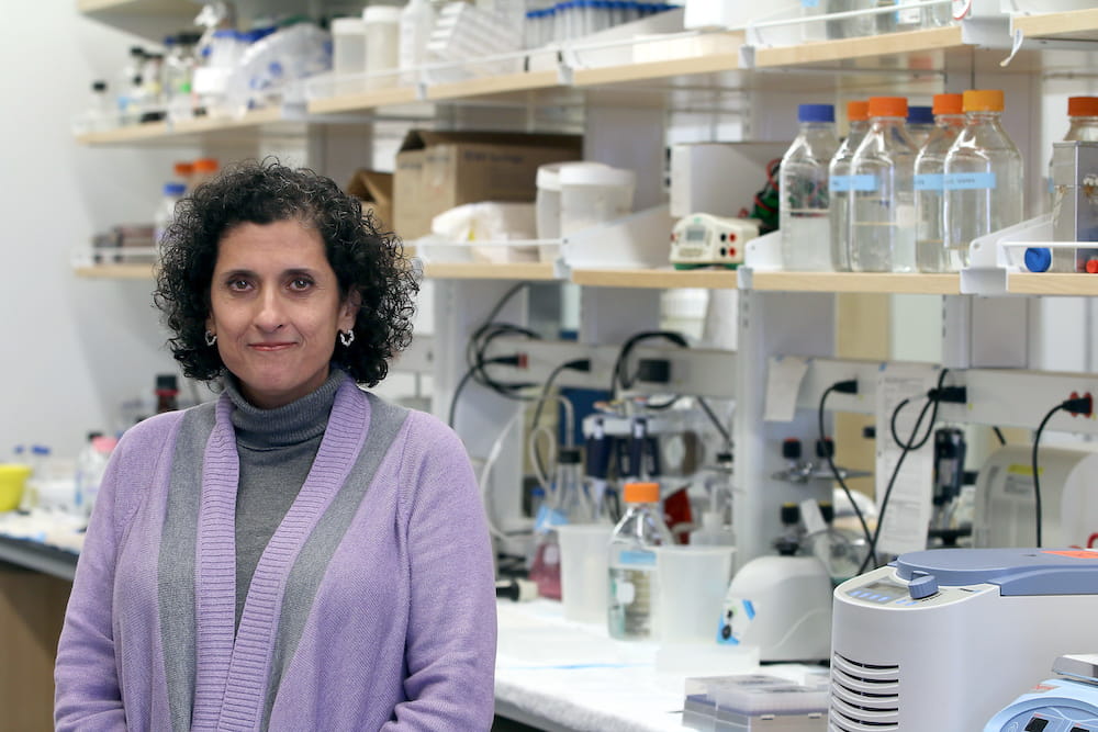 Dr. Carol Feghali-Bostwick in her laboratory