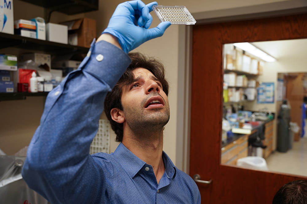 in a lab, a man holds up a glass slide to the light and looks up at it