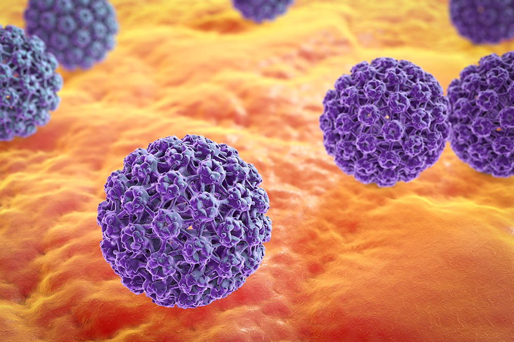 illustration of closeup of HPV