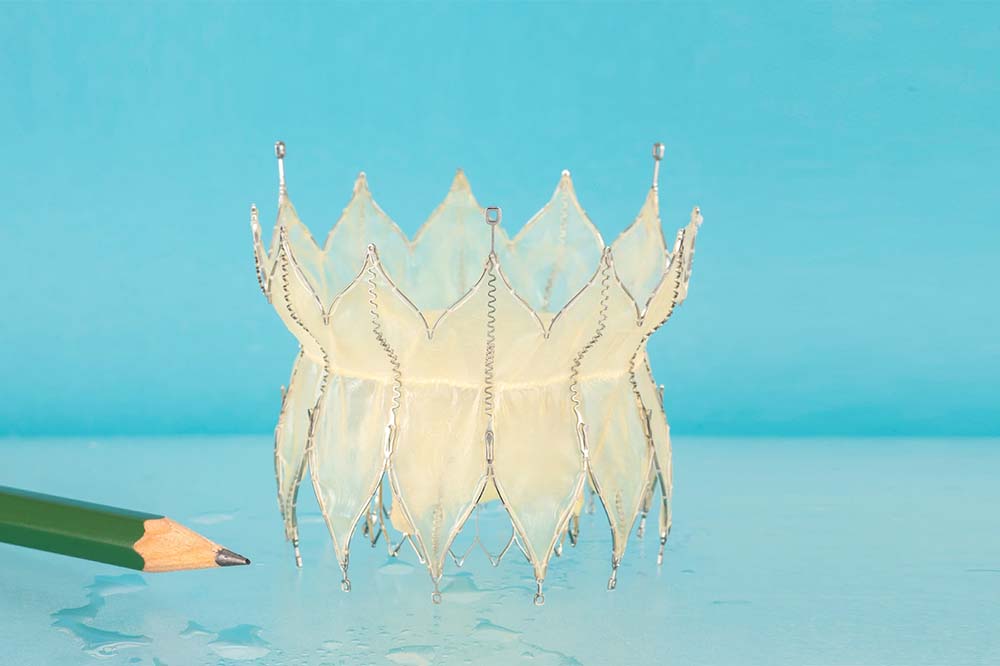 What looks like two crowns stacked bottom to bottom on a blue background. A pencil on the left shows the size of the device.