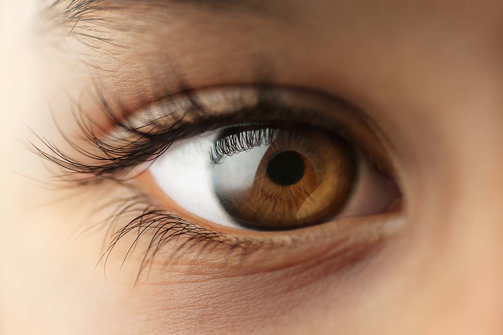 Closeup of a child's brown eye with long natural lashes.