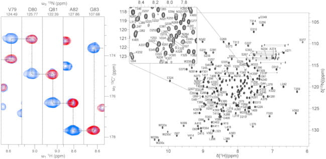 Data visualizations from the Nuclear Magnetic Resonance Facility
