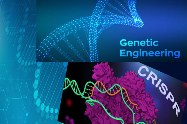 CRISPR DNA