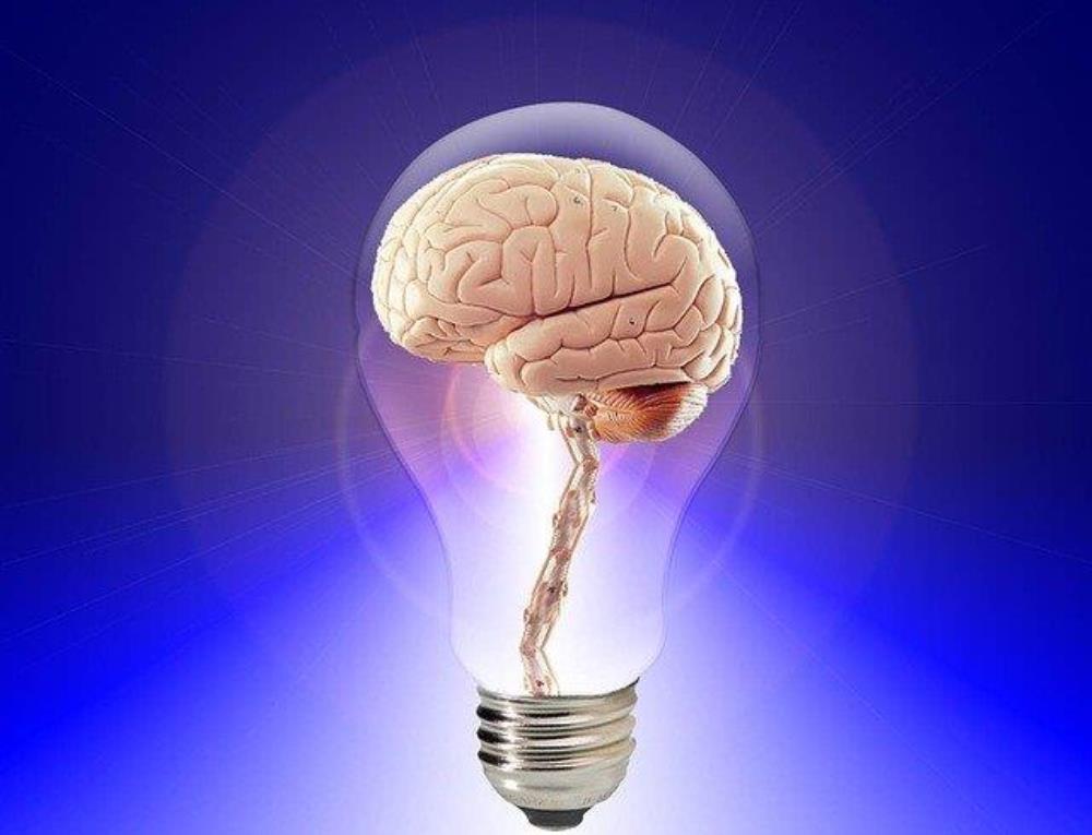 Pixabay brain