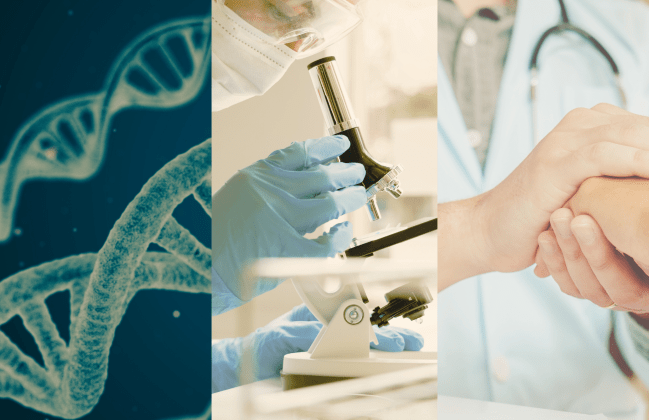 Translational Science, moving scientific discovery to clinical practice. Source of images: Canva Pro