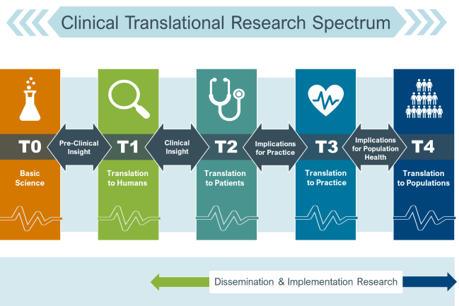 Clinical Translational Research Spectrum, facilitating the translation of basic scientific discovery to improved population health. 