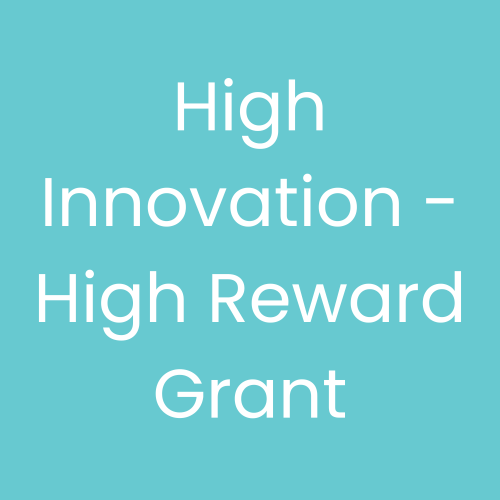 High Innovation High Reward Grant