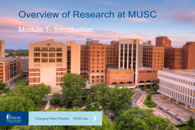 Getting Started In Research | MUSC Research