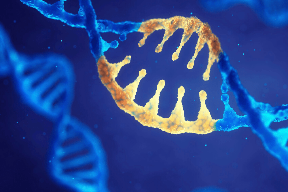 DNA helix, source: Canva